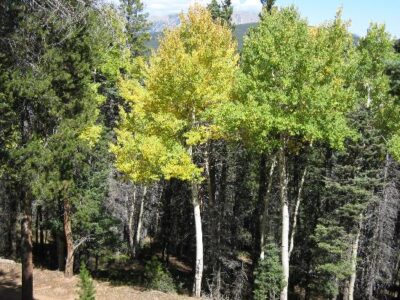 Peace And Quiet Image